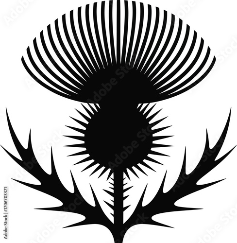 Ornate scottish thistle floral emblem silhouette design