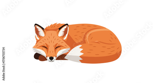 Illustration of a curled up sleeping fox, with soft orange fur and a serene expression conveys the calmness and relaxation of a peaceful nap
