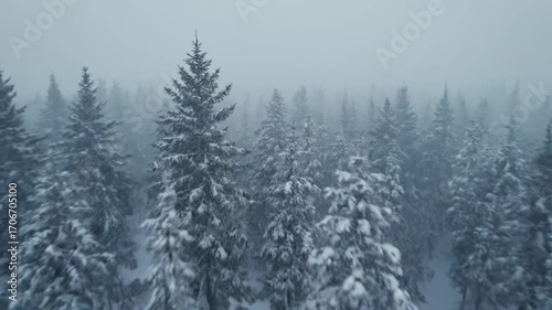 Aerial fly-through a snow-laden forest during a blizzard, with individual branches visible through the falling snow and wind cinematic, subzero, winter