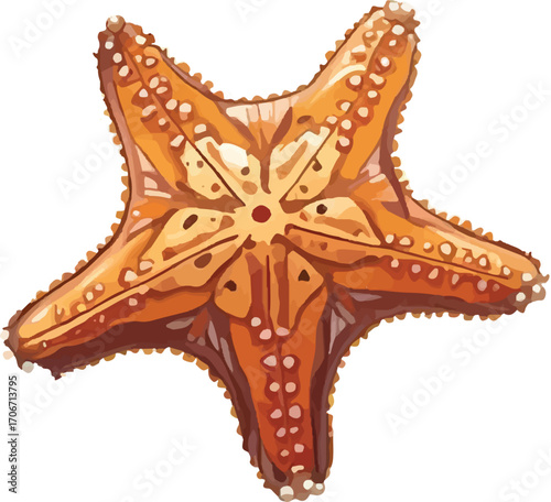starfish