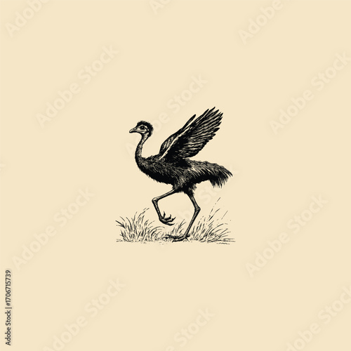 illustration featuring a lively Emu or flightless bird in motion, running with wings flared in a grass field