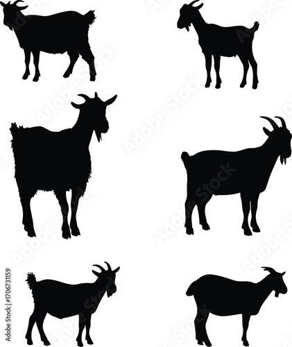Collection of black and white dairy goat silhouettes isolated on white background