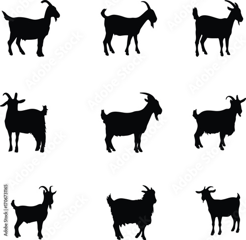 Collection of black and white dairy goat silhouettes isolated on white background