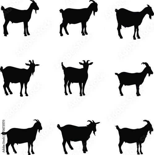 Collection of dairy goat silhouettes isolated on white background