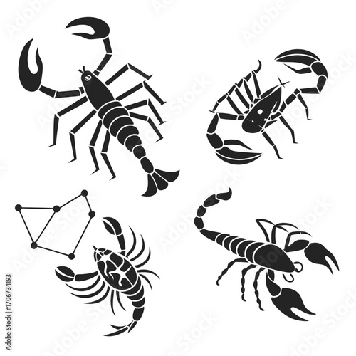 Scorpio zodiac constellation and stylized scorpion silhouettes collection representing astrology and the celestial sign of scorpio