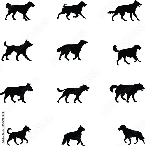 Collection of dog walking silhouettes isolated on white background