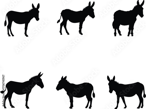 Collection of donkey silhouettes in various poses isolated on white background