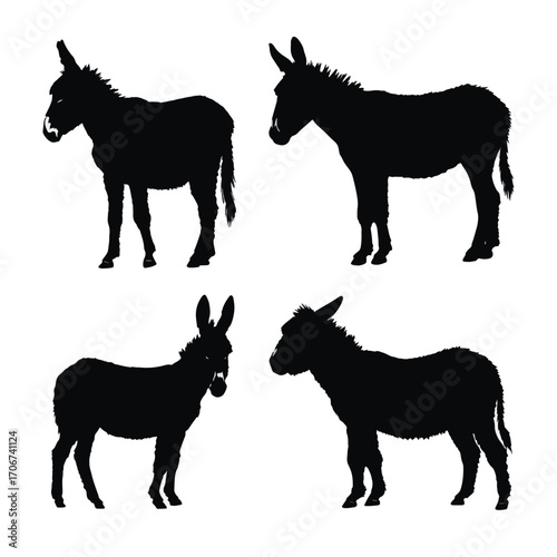 Collection of donkey silhouettes isolated on white background