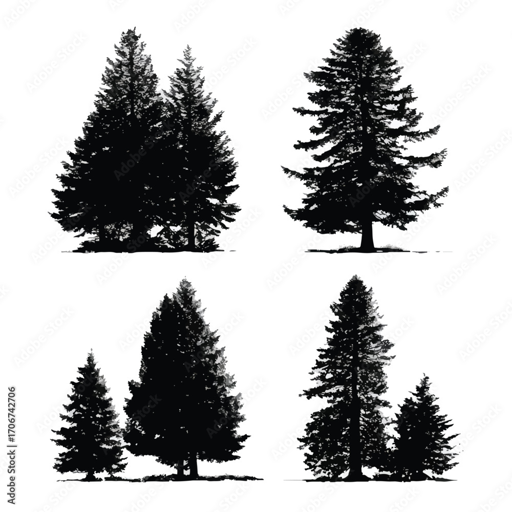 Fototapeta premium Collection of douglas fir tree silhouettes isolated on white background