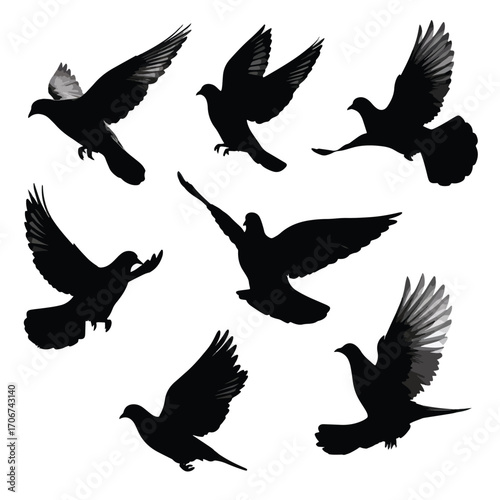 Set of flying dove silhouettes isolated on white background