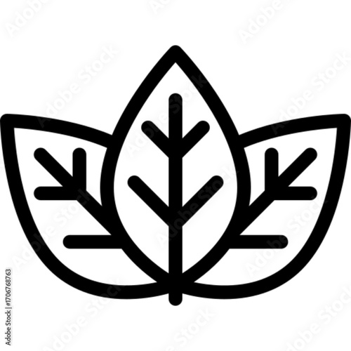 Basil Herb Icon