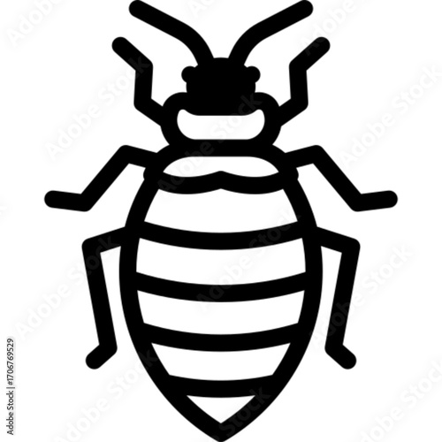 Bedbug Insect Icon