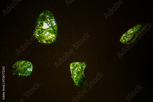 Natural Cave Ceiling Skylights Revealing Bright Green Forest Canopy Above