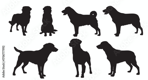 Dog Breeds Silhouette Vector Illustration Collection Diverse canine forms, perfect for graphic design, posters and educational materials.