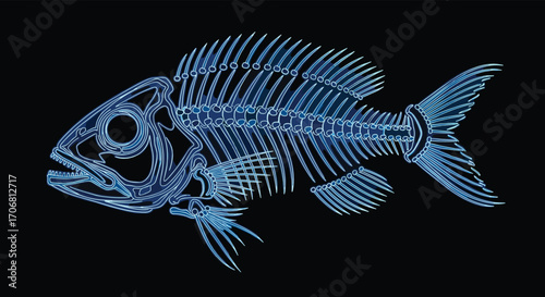 An illuminated intricate fish skeleton glowing with cool blue light against a stark black background.
