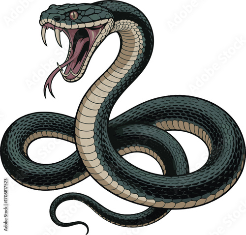 Snake with Fangs Realistic Vector