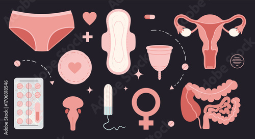 An assortment of feminine hygiene products and reproductive anatomy elements.