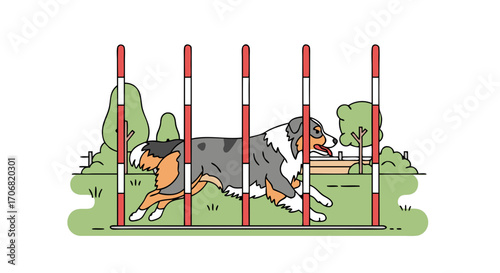 A dog vector illustration of an australian shepherd dog jumping through red and white agility hurdles on green grass with trees in the background. The dog is in motion with a