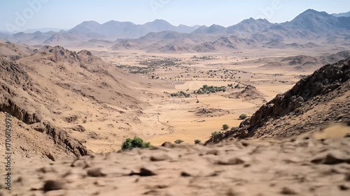 High desert vista, rugged mountains, and scattered vegetation