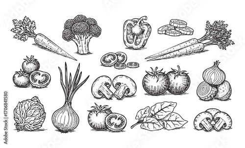 Set of food vegetable engraving vector 