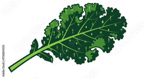 Illustration of a vibrant green kale leaf on a clean white background, celebrating National Kale Day with fresh and healthy vibes.