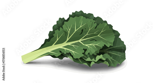 A vibrant green kale leaf on a clean white background, highlighting its ruffled edges and prominent veins, celebrating National Kale Day.