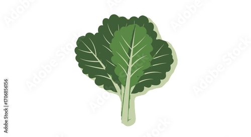 A vibrant green kale leaf with prominent white veins against a clean white background, celebrating National Kale Day with fresh and healthy vibes.