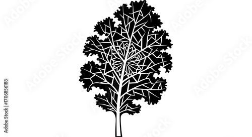 Illustration of a kale plant for National Kale Day with a minimalist style on a white background