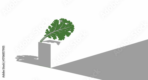 A green kale leaf grows out of a concrete block on National Kale Day with a minimalist and healthy vibe.