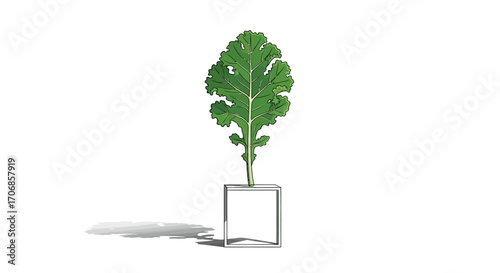 A vibrant green kale plant in a clear glass cube vase on a white background, celebrating National Kale Day with fresh healthy produce.