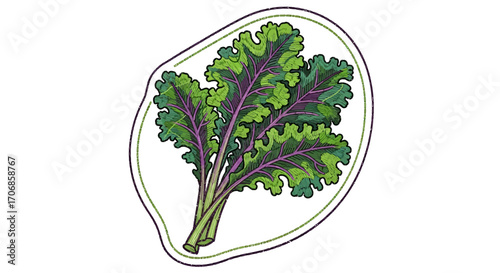 Illustration of a vibrant green kale leaf with purple veins outlined in colorful lines on a white background celebrating National Kale Day.