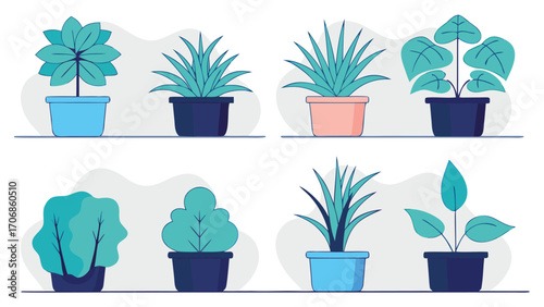 Various potted plants in teal and blue hues houseplants green