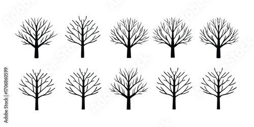Black bare trees silhouetted against white background branch winter