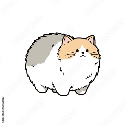 cute fat cat