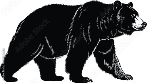 Black bear silhouette illustration, wild animal profile, forest wildlife, detailed fur texture, large mammal standing side view vector