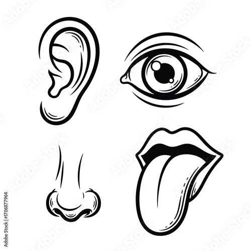 Set of four human sense organs in a bold black and white handdrawn sketch style.