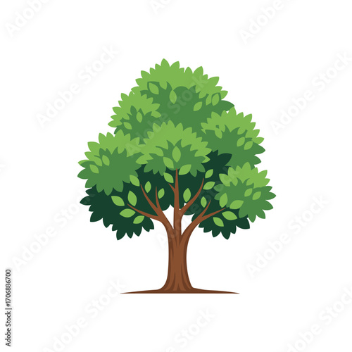 A detailed illustration of a deciduous tree with lush green foliage standing tall and proud