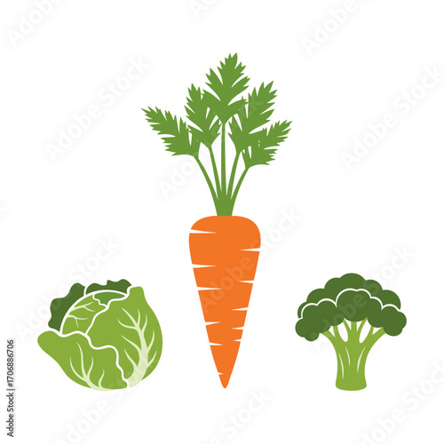 Fresh garden vegetables including carrot cabbage and broccoli for healthy eating
