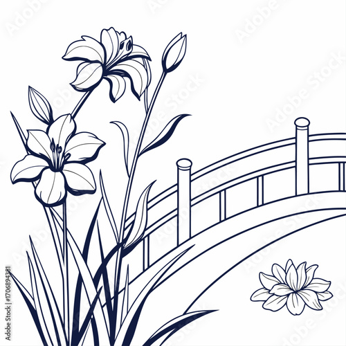 dutch iris white bridge vector