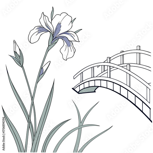 dutch iris white bridge with leaves