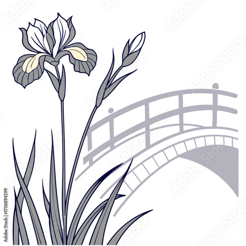dutch iris white bridge vector