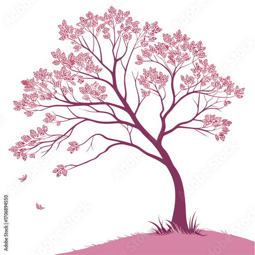 dogwood pink tree on white background 
