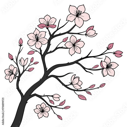 dogwood pink on white background 