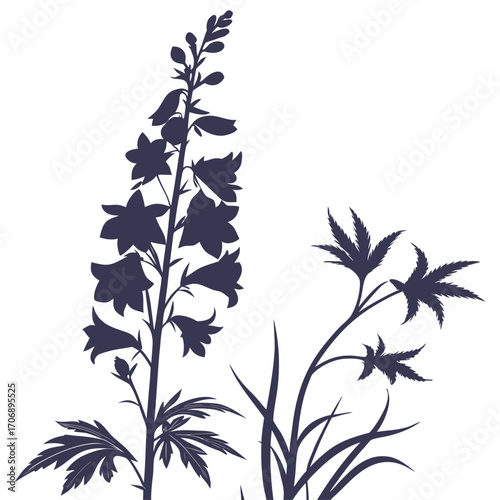  black and white delphinium