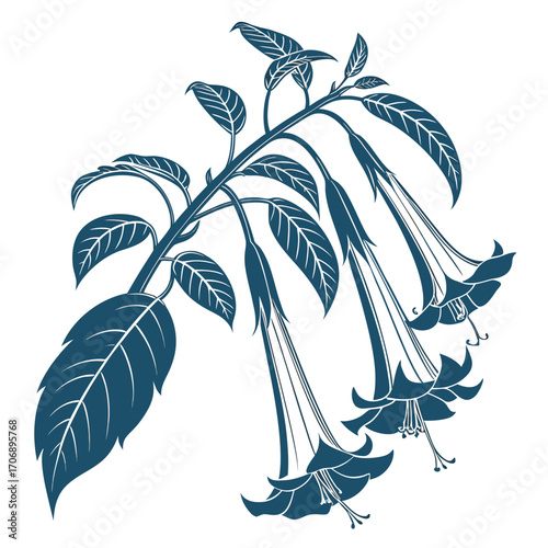 datura inoxia with leaves 