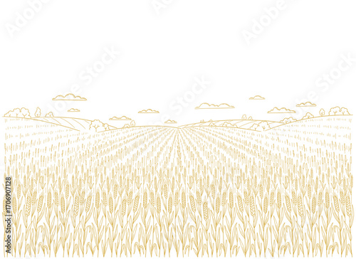 Wheat field for flour packaging in a rustic setting scenic landscape. Vector illustration.