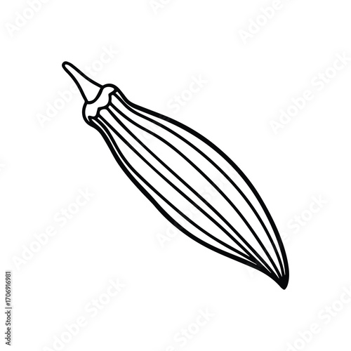 okra vegetable outline vector illustration line art