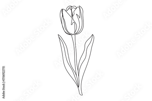 An illustrated single tulip blossom with a green leaf, isolated on a white background