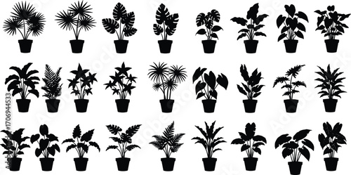 Silhouette collection of indoor potted plants, tropical foliage vector illustration, black botanical design elements for decoration, garden, nature, greenery