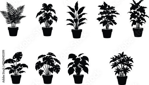 Silhouette collection of potted indoor plants, tropical houseplant vector icons, black plant shapes for decoration, botanical design elements illustration